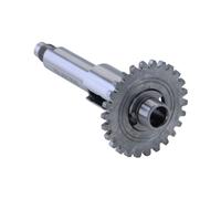 Arbre principal Arbre d'entraînement 26 dents y compris roue à disque pour moteur Sachs 50/4