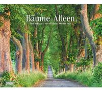 Arbres - Allées 2024 - Calendrier Mural 52x42,5cm - Spirale