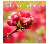 Arbres et arbustes la floraison (Calendrier mural carré 2026, 30 x 60 cm (ouvert)) Calendrier double avec une page pour vos prises de notes