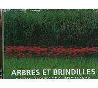Arbres et brindilles
