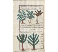 Arbres non identifiés. Après une illustration de Mirza Baqir dans un livre iranien du XIXe siècle du médecin et botaniste grec Pedanius Dioscorides du 1er siècle après JC, œuvre De Materia Medica