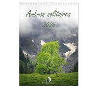 Arbres solitaires (Calendrier mural 2026 DIN A4 horizontal), CALVENDO calendrier mensuel: Un hommage poétique à la majesté et à la force tranquille ... intemporels de la nature et des saisons.