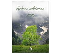 Arbres solitaires (Calendrier mural 2027 DIN A3 horizontal), CALVENDO calendrier mensuel: Un hommage poétique à la majesté et à la force tranquille ... intemporels de la nature et des saisons.