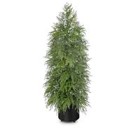 Arbrous Mini sapin de Noël artificiel de 0,9 m - Cèdre topiaire artificiel en pot - Grandes plantes artificielles dans un pot noir - Pour décoration de table de Noël, intérieur ou extérieur