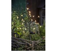 Arbuste à fleurs solaire - GALIX - G4505 - H72