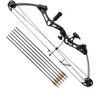 Arc à Poulies pour Adulte avec Accessoires Flèches en Fibre de Verre vidaXL