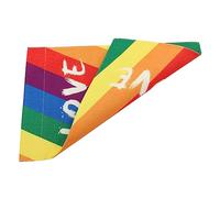 Arc de Fierté Décoration de Jardin Lgbt pour Mois de Fierté Événements Extérieurs