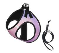 Arc-en-ciel Impression Harnais d'été pour chiot avec réfléchissant, accessoires pour chiens et chats de petite, moyenne et grande taille