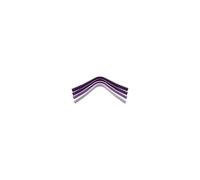 Arcade d'arçon pour cheval Wintec Violet 3XL