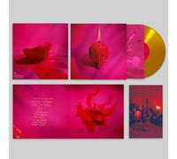 Arcade Fire - Arcade Fire, Neues Album 2025, Pink Elephant, Exklusive Metal Meltdown Vinyl, LP