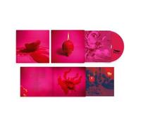 Arcade Fire - Éléphant Rose