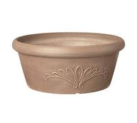 Arcadia Garden Products PSW Pot Collection Bassine Peu Profonde pour Plantes Grasses, bonsaï, Jardins féériques, Herbes aromatiques, Taupe 25,4 cm