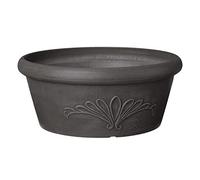 Arcadia Garden Products TA25DC Bac à Fleurs Peu Profond pour Plantes Grasses, bonsaï, Jardins féériques, Herbes aromatiques, 25,4 x 8,9 cm, Anthracite foncé