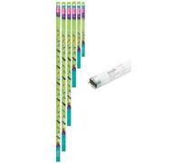 Arcadia - Oiseau Lampe 18W (600mm)