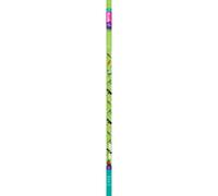 Arcadia - Oiseau Lampe T8, 30W (900mm 26mm) Tube Fluorescent Uva Et Uvb