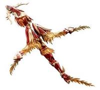 Arcanadea - Figurine Arcanadea Plastic Model Kit XenoAlma Blaze Ophis 26 cm