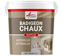 ARCANE INDUSTRIES Badigeon à la Chaux, décoration intérieure, extérieur, Maison : Badiplus - 20 kg (jusqu'à 100 m²) Pise Gris Clair