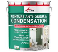 ARCANE INDUSTRIES Peinture Anti Condensation, Anti Odeur, moisissure - 10 L Telegris 4 - RAL 7047