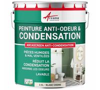 ARCANE INDUSTRIES Peinture Anti Condensation, Anti Odeur, moisissure - 2.5 L Blanc Crème