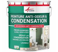 Peinture anti condensation anti odeur moisissure Blanc Perlé - RAL 1013 2.5 L