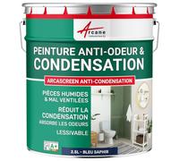 ARCANE INDUSTRIES Peinture Anti Condensation, Anti Odeur, moisissure - 2.5 L Bleu Saphir - RAL 5003