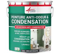 Peinture anti condensation anti odeur moisissure Gris Anthracite - RAL 7016 2.5 L