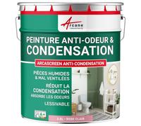Peinture anti condensation, anti odeur, moisissure - 2.5 L Rose Clair - RAL 3015 - ARCANE INDUSTRIES