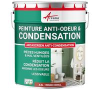 Peinture anti condensation anti odeur moisissure - 2.5 L Rouge corail - RAL 3016 - ARCANE INDUSTRIES
