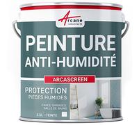 ARCANE INDUSTRIES Peinture Anti Humidité et Moisissure - Anti Condensation Salle de Bain, sous-Sol, Mur Humide - Masque Taches et Auréoles, Action Curative et Préventive - 2.5 L (jusqu'à 10 m