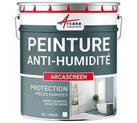 ARCANE INDUSTRIES Peinture anti humidité pour mur humide en plâtre, béton, placo, cave et sous-sol, salle de bain, sdb, anti moisissure, salpêtre, isolante : Arcascreen - 10 L (jusqu'à 40 m