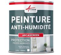 ARCANE INDUSTRIES Peinture anti humidité pour mur humide en plâtre, béton, placo, cave et sous-sol, salle de bain, sdb, anti moisissure, salpêtre, isolante : Arcascreen - 0.75 L (jusqu'à 3 m