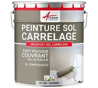 ARCANE INDUSTRIES Peinture carrelage, Sol, résine, pour recouvrir, faïence et Carreaux : Arcapoxy Sol carrelage - 1 kg (jusqu'à 5 m² en 2 Couches) Telegris 4 - RAL 7047