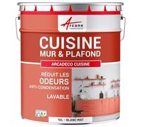 Peinture cuisine lessivable absorbe les odeurs Blanc 10 L