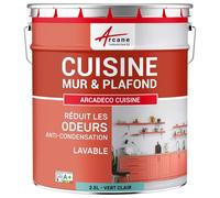 Peinture cuisine, lessivable, absorbe les odeurs - 2.5 L Vert clair - RAL 6027 - ARCANE INDUSTRIES