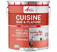 ARCANE INDUSTRIES Peinture cusine lessivable Mur et Plafond | Peinture Anti Odeur & pièce Humide | 29 Couleurs Disponibles : Arcadéco Cuisine - 10 L Blanc
