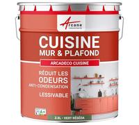 ARCANE INDUSTRIES Peinture cusine lessivable Mur et Plafond | Peinture Anti Odeur & pièce Humide | 29 Couleurs Disponibles : Arcadéco Cuisine - 2.5 L Vert Réséda - RAL 6011