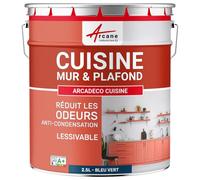 ARCANE INDUSTRIES Peinture cusine lessivable Mur et Plafond | Peinture Anti Odeur & pièce Humide | 29 Couleurs Disponibles : Arcadéco Cuisine - 2.5 L Bleu Vert - RAL 5001