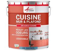 ARCANE INDUSTRIES Peinture cusine lessivable Mur et Plafond | Peinture Anti Odeur & pièce Humide | 29 Couleurs Disponibles : Arcadéco Cuisine - 2.5 L Bleu Pastel - RAL 5024