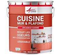 ARCANE INDUSTRIES Peinture cusine lessivable Mur et Plafond | Peinture Anti Odeur & pièce Humide | 29 Couleurs Disponibles : Arcadéco Cuisine - 2.5 L Rouge Corail - RAL 3016