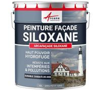 Peinture Facade Siloxane Hydrofuge - Durable jusqu a 15 ans - Rénovation Façade, mur crépi - ARCAFACADE SILOXANE Gris Bleu (Ral 7000) 10L (+ ou - 60m² en 1 couche)