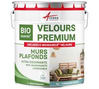 ARCANE INDUSTRIES Peinture Mur et Plafond, Satin, Velours, biosourcée - 10 L (+ ou - 120m² par Couche) Turquoise Pastel - RAL 6034