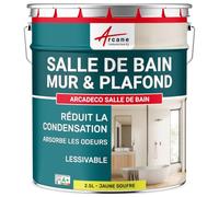 Peinture salle de bain mur plafond condensation Jaune soufre RAL 1016 2.5 L