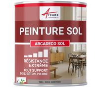 ARCANE INDUSTRIES Peinture Sol Intérieur Velours Polyuréthane - 1 kg Gris Mortier - RAL 060 60 05