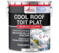 ARCANE INDUSTRIES Peinture Toiture Coolroof Toit Plat Étanche 4 kg Blanc