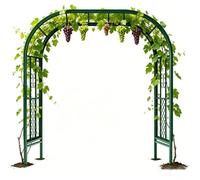 Arceau De Jardin Arche De Rosiers en Fer avec Piquets De Terre, 180cm 220cm 260cm 300cm Support pour Plantes Grimpantes Pergola Extérieure Résistante Aux Intempéries(Vert,300cm X 230cm)