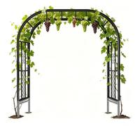 Arceau De Jardin Arche De Rosiers en Fer avec Piquets De Terre, 180cm 220cm 260cm 300cm Support pour Plantes Grimpantes Pergola Extérieure Résistante Aux Intempéries(Noir,340cm X 230cm)