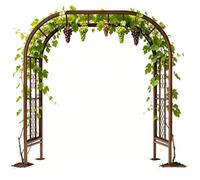 Arceau De Jardin Arche De Rosiers en Fer avec Piquets De Terre, 180cm 220cm 260cm 300cm Support pour Plantes Grimpantes Pergola Extérieure Résistante Aux Intempéries(Brun,260cm X 230cm)