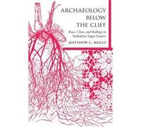 Archaeology below the Cliff by Matthew C. Reilly Matthew C. Reilly (Auteur)