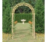 Arche 141x97x243 cm Bois de Pin Massif Imprégné Jardin Patio Extérieur vidaXL