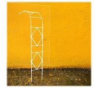 Arche À Rosiers Murale Demi-latérale Arche De Jardin en Métal Tonnelle Plante Grimpante Support pour Plantes Grimpantes Résistant Aux Intempéries(Blanc,W 180cm X H 240cm)